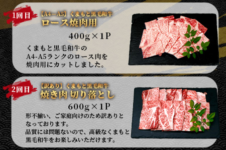 《12月終了》【定期便6回】くまもと黒毛和牛 味わい 定期便～合計 3kg 《 黒毛 和牛 ロース 焼き肉 すき焼き 切り落とし 赤身 スライス 和王 》 肉 すき焼き 焼肉 霜降り 上質 ブランド牛 国産 牛肉 冷凍 熊本県