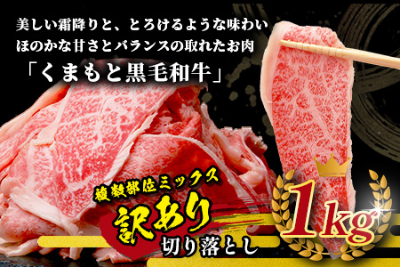 《12月終了》《R8.2～3月発送 限定 増量 》くまもと黒毛和牛 切り落とし 1kg + DREAMバーグ 150g×3個 【合計1450g】 切り落とし 1キロ + 牛肉 100％ 国産 生 ハンバーグ ブランド牛 上質 和牛 霜降り お得 限定品 惣菜 冷凍 熊本県 113-0530