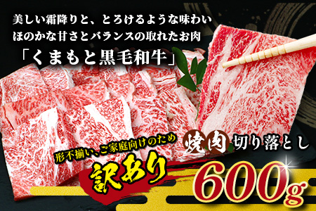 《R8.2〜3月発送 限定 増量 》【訳あり】くまもと 黒毛和牛 焼肉 切り落とし 600g ＋ DREAMバーグ150ｇ×2個 【合計 900g】熊本県 ハンバーグ 黒毛 和牛 牛肉 焼き肉 くまもと 訳アリ 113-0534