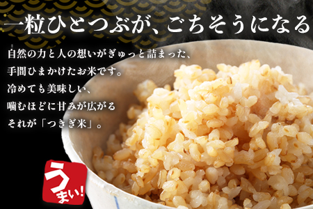 【令和7年産 玄米 】10月上旬～発送 にこまる 「つきぎ米」 玄米 30kg 玄米 ハサ干し米 多良木町 たらぎ 槻木 新米 お米 米 熊本県 30キロ