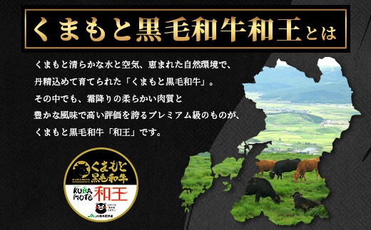 【12月発送】くまもと黒毛和牛(和王) 焼肉セット400g  ブランド牛 肉 焼き肉 やきにく 牛肉 精肉 国産 プレミアム品質 年内発送 年内配送 年末年始 122-0510-12 12月発送