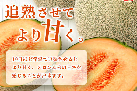 【2026年分 予約】 オレンジの果肉メロン「レノンハート」2玉 (合計約2.8kg以上) 2026年4月下旬～発送 令和8年 予約 フルーツ 果物 高糖度 めろん なめらか 果肉 贈り物 赤肉 メロン