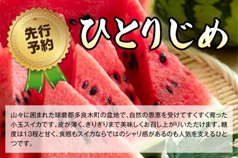 【2026年5月上旬～発送】小玉スイカ ひとりじめ(1玉/4.5kg以上) 令和8年 予約 小玉 すいか スイカ 果物 くだもの フルーツ 008-0663