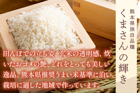 【令和6年産 米 】食べ比べ 多良木町産 『くまさんの輝き』 (5kg×2袋) ＋『ぴかまる』 (5kg×2袋) 【合計 20kg 】 お米の食べくらべ お米2品種 セット 熊本県 たらぎ お米 米 艶 粘り 甘み うま味 もちもち 熊本のお米 044-0596