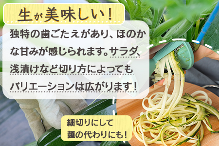 【11月上旬～5月下旬発送】中神農園の ズッキーニ 約2kg (10～12本) 先行予約 野菜 ズッキーニ 熊本県 多良木町 国産 新鮮 2キロ 071-0506