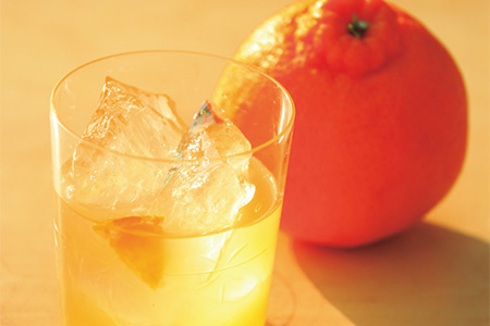 白岳 うめぽん 梅酒 10度 720ml ×6本セット 計4.32L 【 はくたけ 白岳 うめぽん 梅酒 お酒 酒 焼酎 】 018-0215