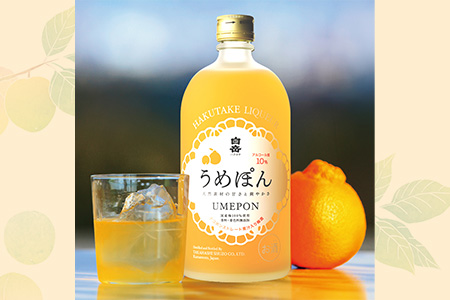 本格米焼酎 と デコポン梅酒 の厳選セット 6種 各1本 計6本 【 本格 米焼酎 お米 米 お酒 酒 白岳 はくたけ セット 飲み比べ 】 018-0470