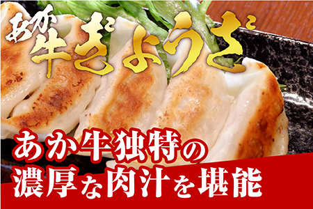 【餃子】 熊本和牛 あか牛 ぎょうざ セット ＜熊本あか牛餃子20個入り×2箱＞ 046-0632