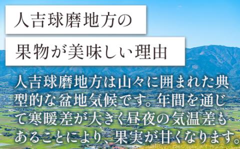 【2024年1月下旬発送開始】球磨産 イチゴ 250g×4パック 先行予約 苺 いちご 【 フルーツ 果物 春 名産 熊本 多良木町 ビタミン 旬 先行予約 くだもの 】004-0038