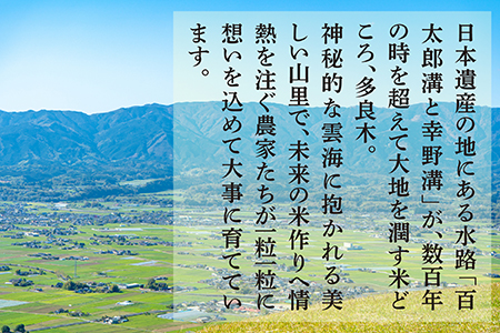 令和5年産 新米 多良木町産 こめたらぎ にこまる 30kg 1袋 【 令和5年産新米 グランプリ受賞 米 30kg お米 農家 自然 豊か 熊本県  多良木町 】 044-0509-a: 多良木町ANAのふるさと納税