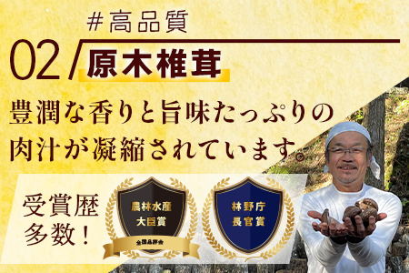 たらぎジビエやさいスープ 3袋 【 ジビエ 猪肉 猪 イノシシ 野菜 やさい スープ 野菜スープ やさいスープ オニオン 】 024-0674
