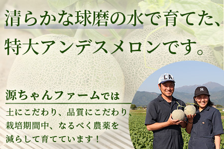 2024年4月下旬以降発送分 先行予約】熊本県産 アンデスメロン 4玉 合計 ...