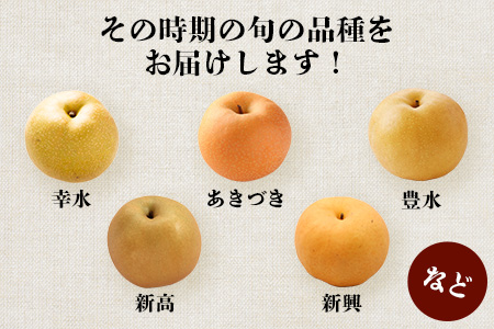 【2026年7月下旬～順次発送】東光寺 梨 4kg (8～15玉) 1箱 先行予約 完熟 フルーツ 果物 夏 旬 幸水 豊水 秋月 新高 新興 東光寺梨