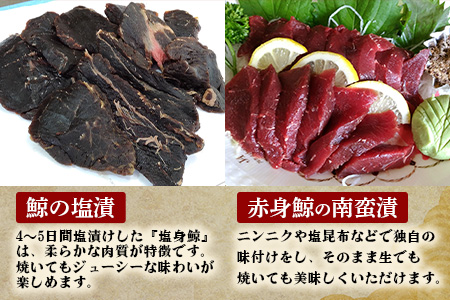 酢だこ 鯨南蛮漬け 塩鯨セット 計 1.5kg ＜酢だこ500g 鯨南蛮漬け500g 塩鯨500g＞ 冷凍 池田屋 多良木 鯨 くじら 003-0200