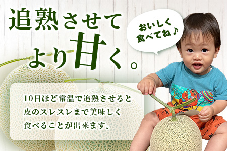 【2026年分 予約】先行予約 「旭メロン (品種：ラブコールメロン）」2玉 (合計約3.5kg以上) 2026年6月中旬～発送開始【 ごほうび めろん 青肉 メロン 大玉 たっぷり 果汁 果物 フルーツ ギフト 】