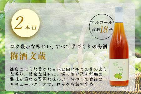 【最短翌々日〜5営業日以内発送】たらぎの 梅酒 セット 720ml × 2本 ≪古代梅酒≫≪ 梅酒文蔵≫ 球磨焼酎 多良木町 米 焼酎 梅 うめ酒 お酒 球磨 贈り物 ギフト 熊本県 多良木町 015-0689