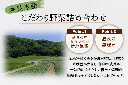 【定期便6回】熊本の大地の恵み 旬の こだわり野菜詰め合わせセット 8?12品 （3?4名様向け）6回配送 獲れたて 新鮮 野菜 セット 詰め合わせ 詰合せ 定期便 産地 直送 国産 季節 旬野菜 家族 ファミリー 多良木町 024-0811