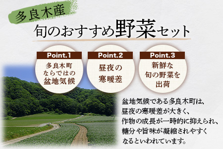 【定期便3回】熊本の大地の恵み≪ 野菜で野菜を食べる ≫ 旬のこだわり 野菜 ＆ドレッシング セット (3?4名様向け) 野菜 獲れたて 8～12品 直送 旬 新鮮 定期便 野菜ドレッシング 詰め合わせ 詰合せ 熊本県 多良木町 024-0814