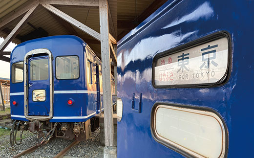 【宿泊】 簡易宿泊施設 ブルートレイン たらぎ 宿泊券 （1名様・1泊） 旧 国鉄 寝台特急 はやぶさ 宿泊券 素泊まり 入浴券付き 028-0046