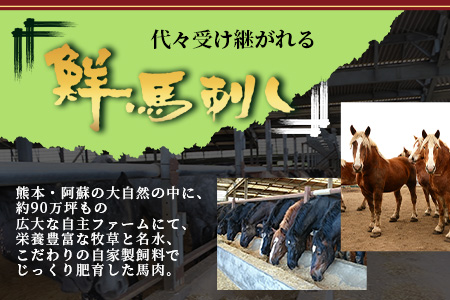 【年末配送】馬刺し 部位 堪能7種 食べ比べ ブロック 約540g 霜降り ユッケ 年内発送 年内配送 年末年始