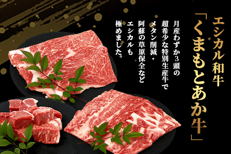 【エシカル和牛】あか牛の極み すき焼き&焼き肉セット【1kg】 カタ バラ 角切り すき焼き スキヤキ すきやき 焼肉 やきにく 熊本 あか牛 牛肉 赤身 和牛 国産 1キロ 033-0507