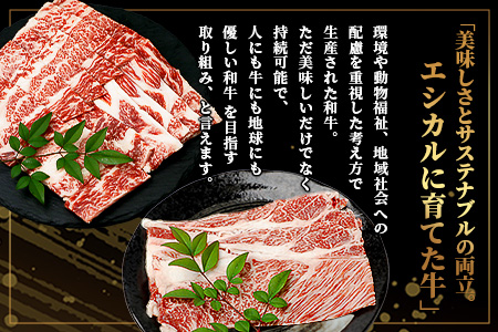 【エシカル和牛】くまもとあか牛【あか牛の極み】 肩ロース＆バラセット 400g ロース バラ 熊本 あか牛 牛肉 すき焼き しゃぶしゃぶ 赤身 和牛 国産 SDGs