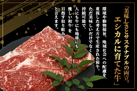 ※年末発送※【エシカル和牛】くまもとあか牛【あか牛の極み】モモ焼きしゃぶ 200g×3 (計 600g) モモ 赤身 熊本 あか牛 牛肉 小分け しゃぶしゃぶ 焼きしゃぶ すき焼き 和牛 国産 SDGs 033-0513 年末発送