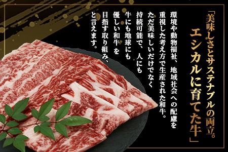 【エシカル和牛】くまもと あか牛【あか牛の極み】バラ焼肉 200g×3 (計 600g) バラ 熊本 赤牛 ジューシー 牛肉 小分け 焼き肉 焼肉 やき肉 BBQ アウトドア 和牛 国産 SDGs