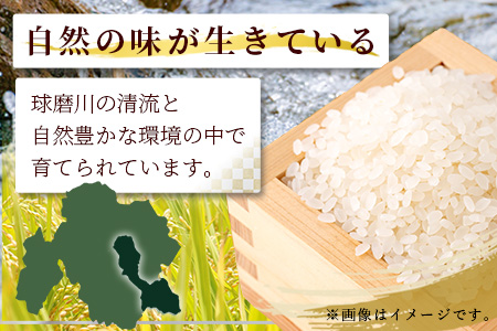 令和7年度産 球磨産 ひのひかり 10kg  新米 お米 精米 米 白米 ひのひかり ヒノヒカリ  036-0505