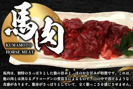 【 定期便 12回 】 熊本県 馬スジ 1㎏（ 500g×2 ） × 12回 【 合計 12kg 】 【 馬肉 すじ肉 大容量 本場 熊本県 馬 赤身 煮込み カレー シチュー 冷凍 真空 熊本 肥育 ヘルシー 赤身 肉 高栄養 肉 】 041-0169