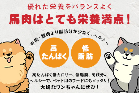 ペット用 熊本加工 馬肉 切り落とし 【1kg】 ドッグ フード 無添加 無香料 ヘルシー 高栄養 馬刺し 冷凍 1キロ お肉専門店 熊本県 国内加工 041-0501