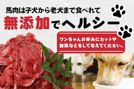 【定期便6回】ペット用 熊本加工 馬肉 切り落とし【 1kg ×6回配送 】 合計 6キロ ドッグ フード 無添加 無香料 ヘルシー 高栄養 馬刺し 冷凍 お肉専門店 熊本県 国内加工 041-0503 定期便6回