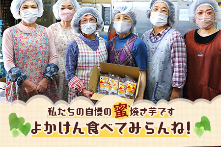 【冷凍】 蜜 焼いも 紅はるか 焼芋 合計2.4kg11月～順次発送  (120g入り×20袋) 真空 さつまいも 焼き芋 やきいも 042-0584
