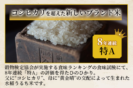 人吉球磨のお米「ひのひかり」無洗米5kg  精米 お米 ご飯 熊本県 ヒノヒカリ お米 精米 こめ コメ 国産 ブランド米 053-0509