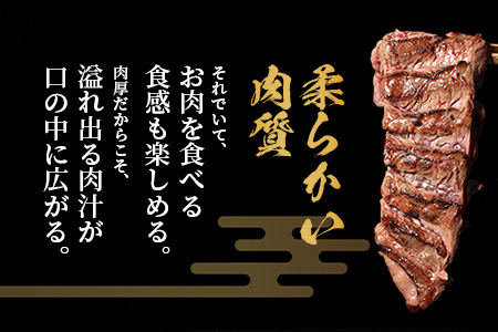【厚切り】牛 ハラミステーキ【1㎏】500ｇ×2 ※12月寄附限定 タン先炭火焼付※ 焼肉 ハラミ 焼き肉 はらみ 塩味 牛肉 肉 冷凍 小分け パック キャンプ バーベキュー 067-0671