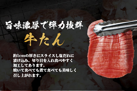 ※12月寄附限定 タン先炭火焼付※人気セット！ 厚切り 牛 ハラミ ステーキ＆ 厚切り 牛タン 【合計 1㎏ 】 焼肉 バーベキュー キャンプ アウトドア 牛たん ハラミ 焼き肉 カット済み 塩味 牛肉 肉 冷凍 パック 067-0672