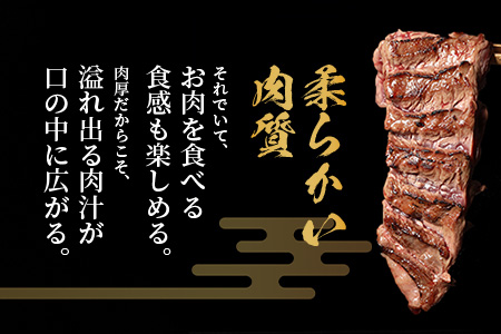 ※12月寄附限定 タン先炭火焼付※厚切り 牛 ハラミ ステーキ 500g 焼肉 軟化加工 塩味 牛肉 BBQ 冷凍 小分け おまけ 067-0678