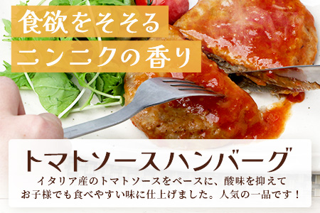 温めるだけ！ レンチン ハンバーグ 《トマトソース》 10個 ハンバーグ 湯煎  レンジ 簡単 レトルト ハンバーグ はんばーぐ 冷凍 個包装 067-0701