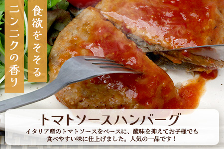 温めるだけ！ レンチン バーグ ≪トマトソース・ペッパーソース≫ 合計10個 ハンバーグ 湯煎 レンジ 簡単 大容量 レトルト ハンバーグ トマト ペッパー 2種 セット スパイス 簡単 冷凍 レンジ 湯せん 個包装 067-0707 トマト・ペッパーソースセット 計10個