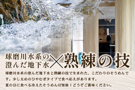 那須の おいしい そうめん 2人前×3袋 （ 計6食・495g ）  涼 麺 冷やし ソーメン 夏 食欲増進 さっぱり 夏休みのランチ 便利 備蓄 保存食 常温保存 お昼ご飯 昼食 夕食 夜食 2000円 そうめん ソーメン そうめん ソーメン