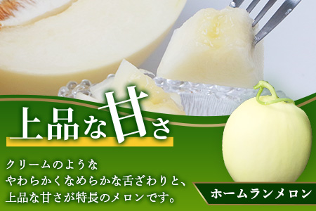 【2026年5月上旬～次発送・先行予約】熊本県産 ホームランメロン アンデスメロン 食べ比べ 計2玉 約2.5kg以上 メロン フルーツ 果物 083-0625 計2玉 約2.5kg