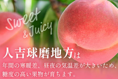 【先行予約】 桃 (5～8玉) 約 2kg 「厳選した桃をお届けします！」 2026年6月下旬～順次発送 087-0656