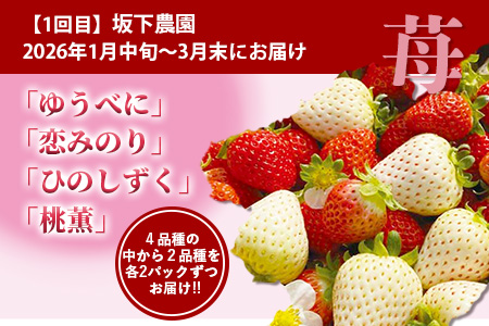 【フルーツ 定期便 3回】2026年発送 多良木町産 いちご・メロン・梨 各2種 食べ比べ 3回配送 数量限定 東光寺梨 西山果樹園 木村メロン園 坂下農園 イチゴフルーツ 果物 名産 熊本