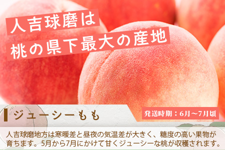 【フルーツ3回定期便B】2026年発送分 アンデスメロン・桃・梨 3回配送 旬 フルーツ 定期便 数量限定 メロン 球磨の桃 豊永の梨 果物 名産 熊本 多良木町