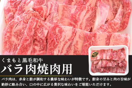 【G1認証】くまもと黒毛和牛 バラ肉 500g ブランド 牛肉 バラ 熊本県産 熊本 肉 高級 黒毛和牛 和牛 熊本 多良木 100-0009
