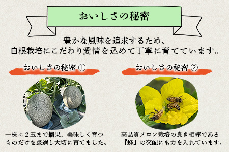 【2026年6月上旬順次発送 先行予約】大玉 肥後グリーンメロン 2玉 約4.6kg以上 熊本県産【 果物 フルーツ グリーンメロン 先行予約 4.6kg 青肉 期間限定 数量限定 熊本県 多良木町 】
