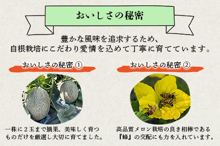 【2026年6月上旬から順次発送 先行予約】 特大 肥後グリーンメロン 2玉 約5.4kg以上 【 果物 フルーツ グリーンメロン 先行予約 5.4kg 青肉 期間限定 数量限定 熊本県 多良木町 】 101-0002