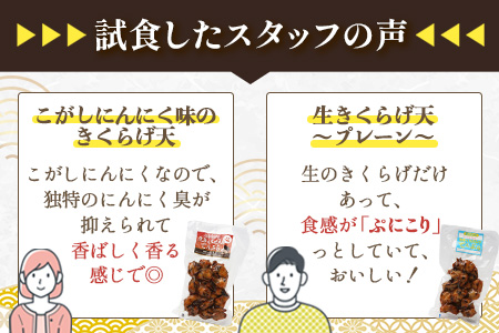 熊本グッドプロダクト賞 ! 生きくらげ入り てんぷら～焦がしニンニク入＆プレーン 4パック セット(各2P) 真空パック  さつまあげ さつま揚げ つけあげ きくらげ キクラゲ 木耳 魚介 熊本県 多良木町 あらたけ蒲鉾店 102-0502 焦がしにんにく・プレーンセット