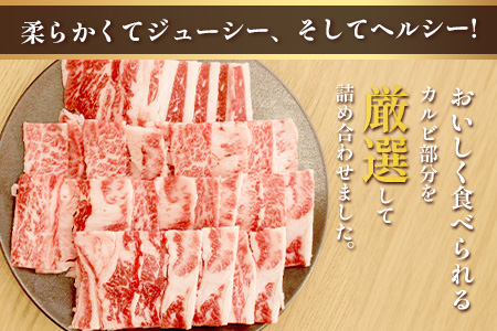 くまもとあか牛 カルビ 焼肉用 計500g 熊本県 ブランド牛 肉 ヘルシー 赤身 牛肉 焼き肉 やきにく やき肉 ブランド牛 肉 国産 ヘルシー 赤身 ジューシー カルビ 旨味 105-0502