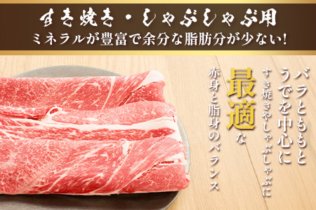 くまもとあか牛すき焼き・しゃぶしゃぶセット  計1kg  すき焼き しゃぶしゃぶ あか牛 牛肉 肩ロース ヘルシー 贅沢 ミネラル  熊本県 ブランド牛 肉 ヘルシー 赤身 牛肉 105-0511